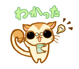 Kawaii!.Sticker of Flying squirrel sticker #3642346
