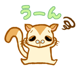 Kawaii!.Sticker of Flying squirrel sticker #3642348