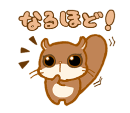 Kawaii!.Sticker of Flying squirrel sticker #3642356