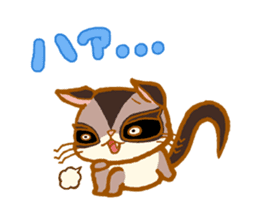 Kawaii!.Sticker of Flying squirrel sticker #3642357