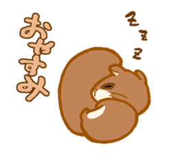 Kawaii!.Sticker of Flying squirrel sticker #3642360