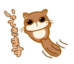 Kawaii!.Sticker of Flying squirrel sticker #3642361