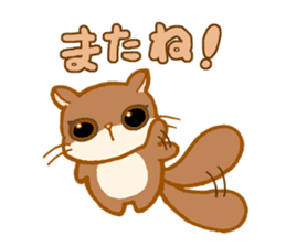 Kawaii!.Sticker of Flying squirrel sticker #3642366