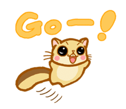 Kawaii!.Sticker of Flying squirrel sticker #3642377
