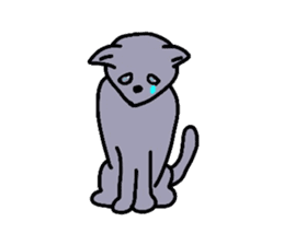 Russian blue cat sticker #3645231