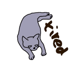 Russian blue cat sticker #3645239