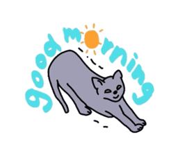 Russian blue cat sticker #3645240