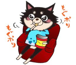 kyururun chihuahua & poison chihuahua 2 sticker #3646101