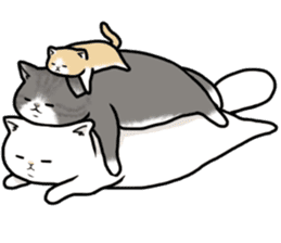 fat cats sticker #3648423