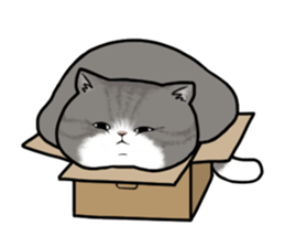 fat cats sticker #3648441