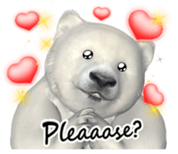 3D Baby Polar Bear sticker #3648471