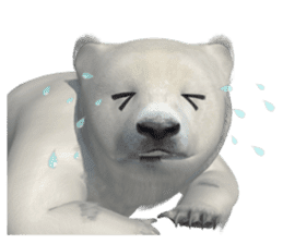 3D Baby Polar Bear sticker #3648483