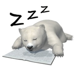 3D Baby Polar Bear sticker #3648500