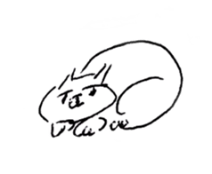 poker face cat life work sticker #3648967