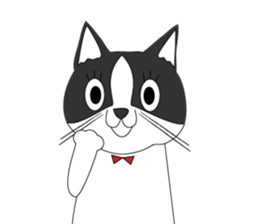 Mebari the black and white cat sticker #3648983