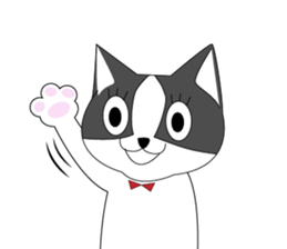 Mebari the black and white cat sticker #3648986