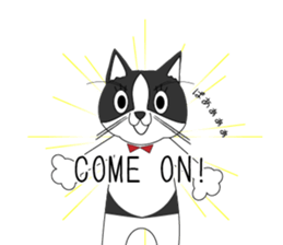 Mebari the black and white cat sticker #3648991