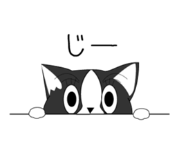 Mebari the black and white cat sticker #3648997