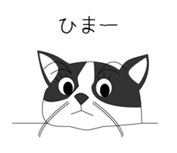 Mebari the black and white cat sticker #3649012