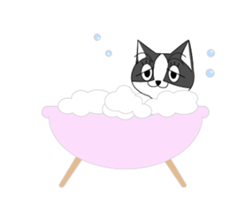 Mebari the black and white cat sticker #3649016