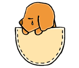 Little Oaklets in a Pocket sticker #3649712