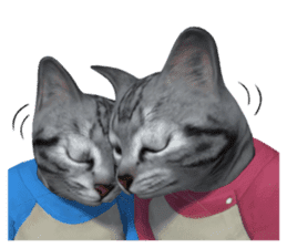 3D Cute Cats sticker #3650001
