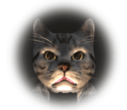 3D Cute Cats sticker #3650009