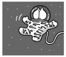 What cat sticker #3651026