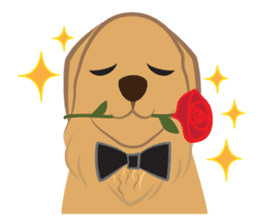Dido Golden dog (ENG Version) sticker #3651414