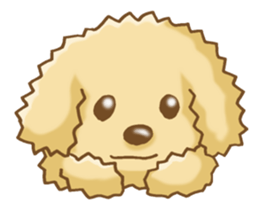 Poodle's Sticker! sticker #3651992