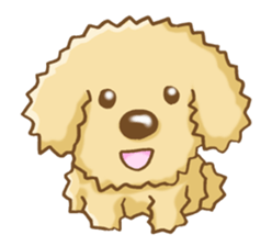 Poodle's Sticker! sticker #3651994