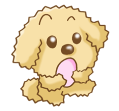 Poodle's Sticker! sticker #3651995