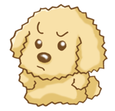 Poodle's Sticker! sticker #3652020