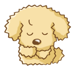 Poodle's Sticker! sticker #3652023
