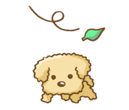 Poodle's Sticker! sticker #3652029