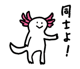 Axolotl2 sticker #3654020