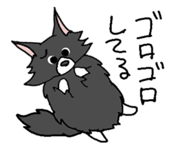 Nor Ctat and Maine cat sticker #3656032