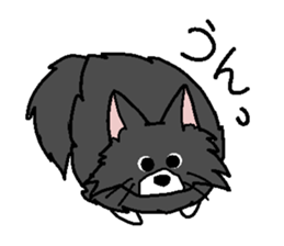 Nor Ctat and Maine cat sticker #3656041