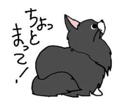 Nor Ctat and Maine cat sticker #3656043