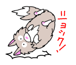 Nor Ctat and Maine cat sticker #3656048