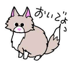 Nor Ctat and Maine cat sticker #3656060