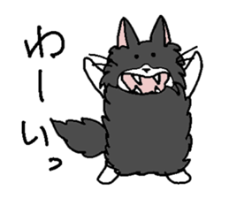 Nor Ctat and Maine cat sticker #3656069