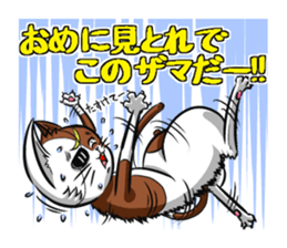 3rd Japanese cat living in Sendai sticker #3656683