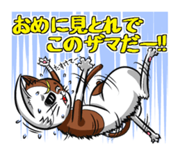 3rd Japanese cat living in Sendai sticker #3656683