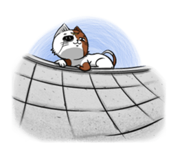 3rd Japanese cat living in Sendai sticker #3656703