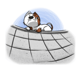 3rd Japanese cat living in Sendai sticker #3656703