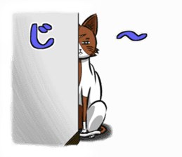 3rd Japanese cat living in Sendai sticker #3656705