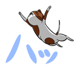 3rd Japanese cat living in Sendai sticker #3656708