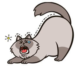 Pao Pao Piggy Cat sticker #3657152
