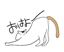 The shape of a house cat sticker #3658094